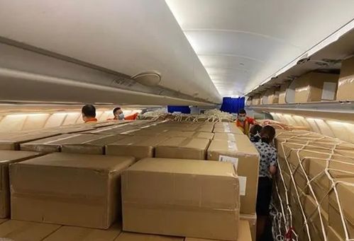 東航“客改貨”包機首航武漢-洛杉磯，國際包機服務邁入全鏈條整合新階段